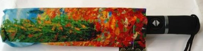 515223 DEŽNIK RENOIR