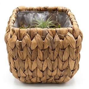 3649 KOŠARA              4029945036499