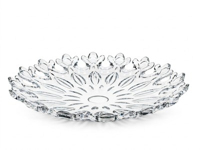 20415 PLADENJ            8024299204156