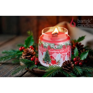 SVEČA CRANBERY SNOW S POKROVOM 450G